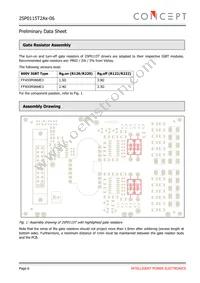 2SP0115T2B0-06 Datasheet Page 6