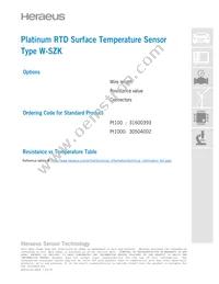 30504002 Datasheet Page 3