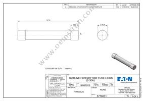 30SRF1000 Datasheet Page 2