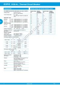 3120-N324-P7T1-W19DG4-10A Datasheet Page 2