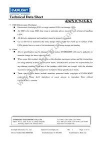 424/X1C9-1GKA Datasheet Page 12