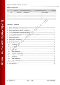 4DLCD-43480272-CTP-CLB Datasheet Page 2