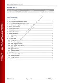 4DLCD-90800480-CTP Datasheet Page 2