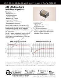 530L104KT16T Datasheet Cover