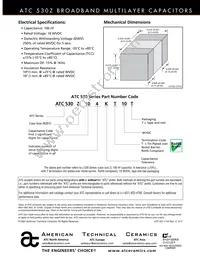 530Z104KT10T Datasheet Page 2