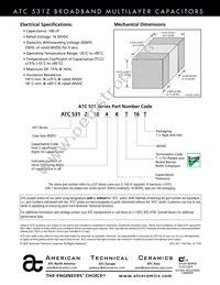 531Z104KTR8 Datasheet Page 2