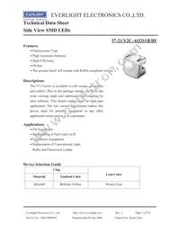 57-21/Y2C-AQ2S1B/BF Datasheet Cover