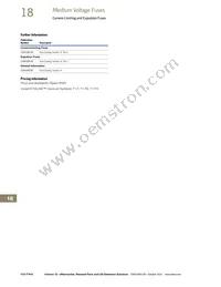 5CLE-1350E Datasheet Page 8