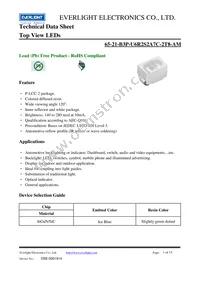 65-21-B3P-U6R2S2A7C-2T8-AM Datasheet Cover