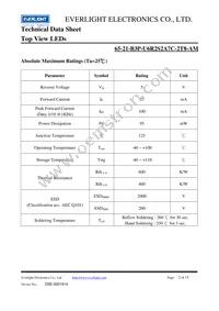 65-21-B3P-U6R2S2A7C-2T8-AM Datasheet Page 2