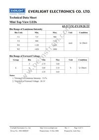 65-21/T2C-FV1W2E/2T Datasheet Page 4