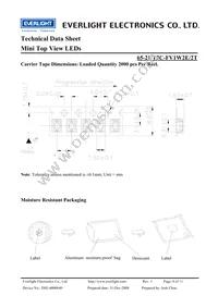 65-21/T2C-FV1W2E/2T Datasheet Page 8