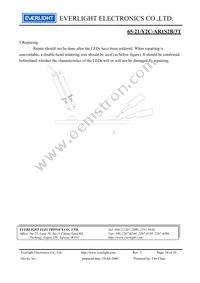 65-21/Y2C-AR1S2B/3T Datasheet Page 10