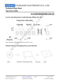 67-21-B3P-B3Q2R2M0C-2T8-AM Datasheet Page 13