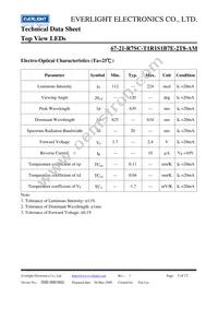 67-21-R7SC-T1R1S1B7E-2T8-AM Datasheet Page 3