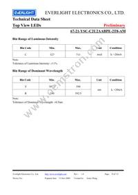 67-21-YSC-C2U2AABPE-2T8-AM Datasheet Page 4