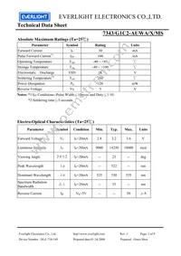 7343-G1C2-AUWA-X-MS Datasheet Page 3