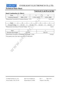 7343-G1C2-AUWA-X-MS Datasheet Page 4