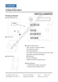 7343-Y7C2-AQSB-P-MS Datasheet Page 6