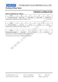 7383-B1C3-AMQA-MS Datasheet Page 4