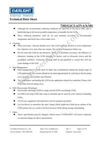 7383-G1C3-ATVA-MS Datasheet Page 9