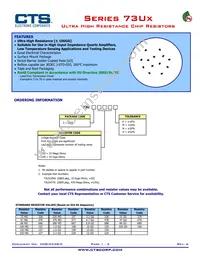 73U310AN Datasheet Cover