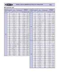 80ZLJ1200MGC18X40 Datasheet Page 3