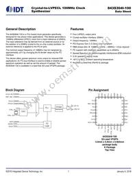 843S304BKI-100LF Datasheet Cover