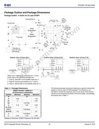843S304BKI-100LF Datasheet Page 22