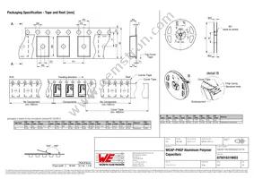 875016319003 Datasheet Page 3