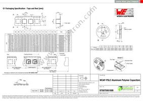 875075561008 Datasheet Page 3