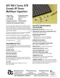 900C105MT100X Datasheet Cover