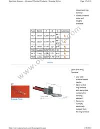 A1004BT22P0 Datasheet Page 12