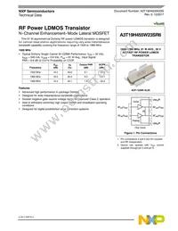 A3T19H455W23SR6 Datasheet Cover