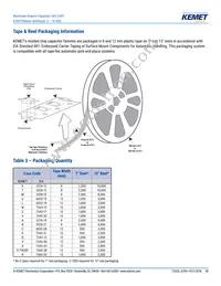 A700V227M002ATE007 Datasheet Page 13