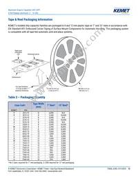 A700X127M010ATE010 Datasheet Page 13