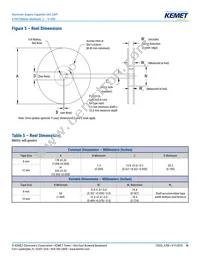 A700X127M010ATE010 Datasheet Page 16