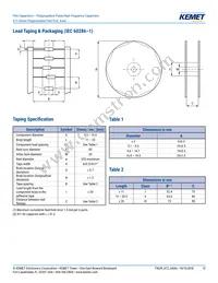 A72QT3100AA02M Datasheet Page 13