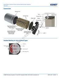 A765EG157M1CLAE027 Datasheet Page 10