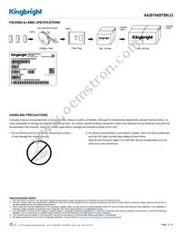 AA2810ASYSK/J3 Datasheet Page 4