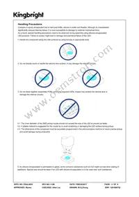 AA3021QBS/D Datasheet Page 2