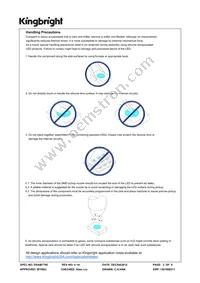 AAAF5060BRGS-11 Datasheet Page 2