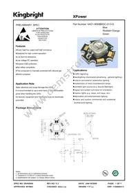 AAD1-9090BRGC-01/3-S Datasheet Cover