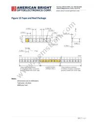 AB-EZP13R-B3 Datasheet Page 13