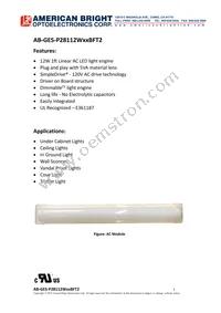 AB-GES-P28112W50BFT2 Datasheet Cover