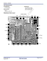 ADC0804LCN Datasheet Page 16