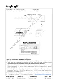 AM2520SGC09 Datasheet Page 5