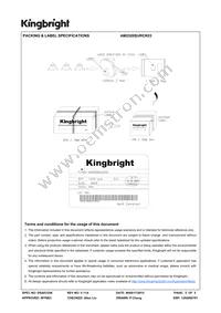 AM2520SURCK03 Datasheet Page 5