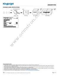 AM2520SYCK03 Datasheet Page 4