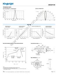 AM2520YC09 Datasheet Page 3